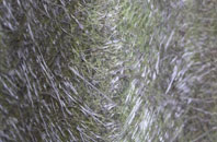 Barrow Vale fibreglass roof work